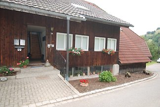 Apartament Dla rodzin Kleines Wiesental