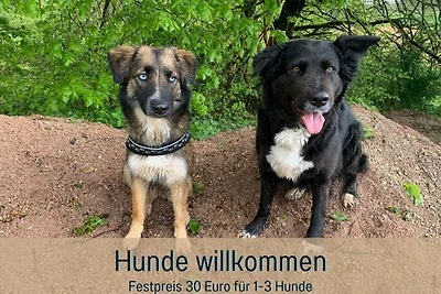 Ferienwohnung „Weiher“, max. 8 Pers