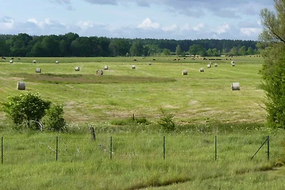 Ferienwohnung Albrechtsthal