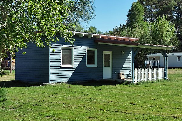 Objekt Malchiner See