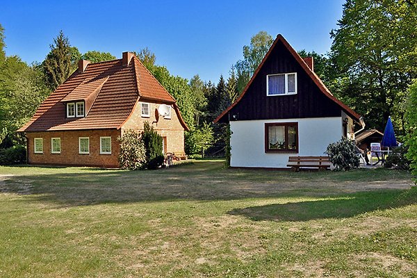 Ferienhaus Dobbertin