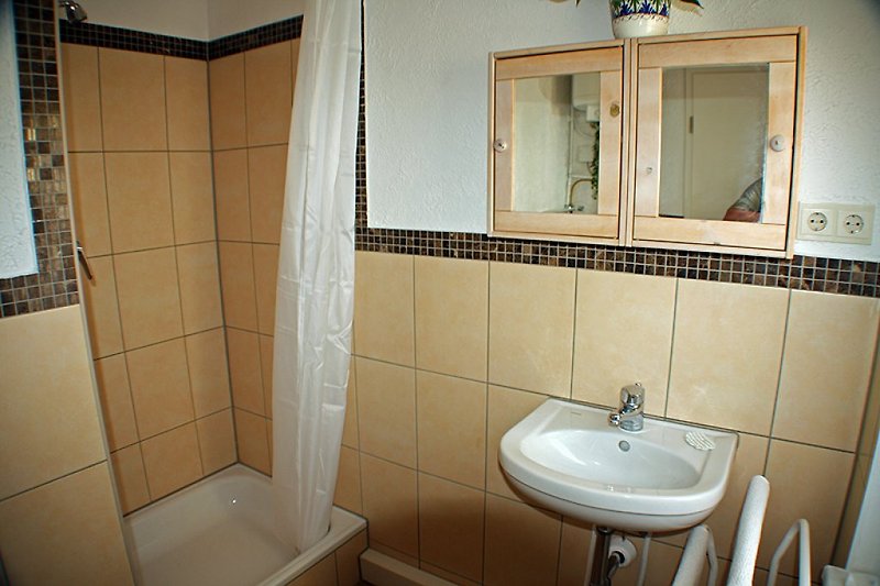 Salle de bain avec douche, lavabo et toilettes
