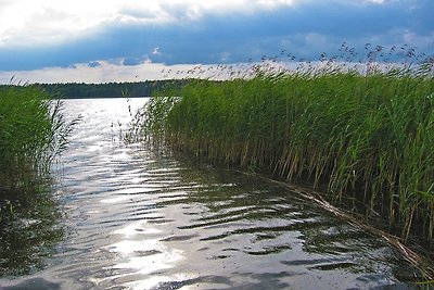 Casa vacanze Vacanza di relax Waren (Müritz)