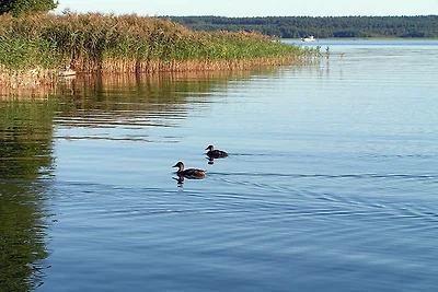 Casa vacanze sul braccio del Müritz
