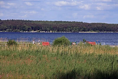 Ferienhaus in Plau am See