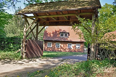 Ferienhaus 'Alte Mühle'