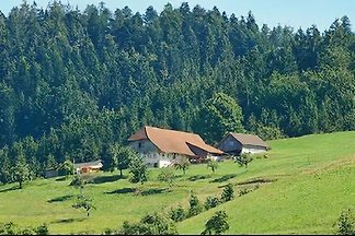 Ferienwohnung Zimmermann