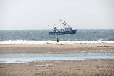 Kussengevecht Dünenvilla