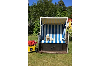 OSTSEEOASE - Ferienwohnung am Meer_