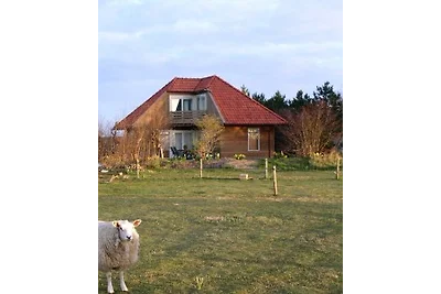Villa Duinzicht  Texel