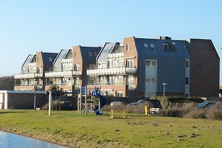 Duinerei noleggio ***** 1-B!