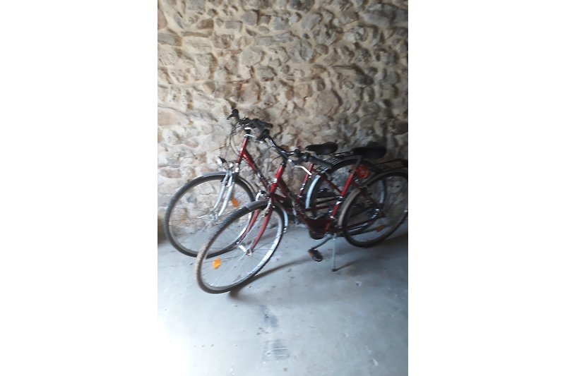 Guest bicycles