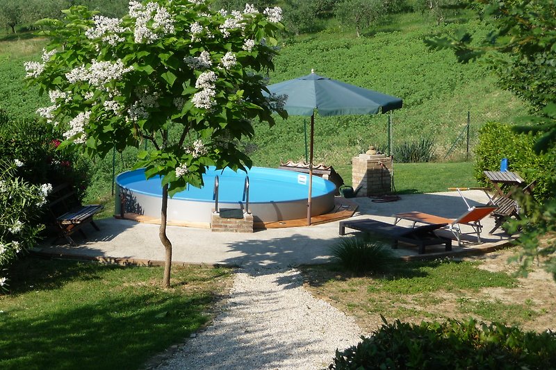 Blick auf Pool mit Gartenmöbeln und Sonnenschirm.