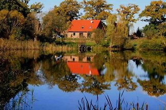 Das Ferienhaus in Liepen