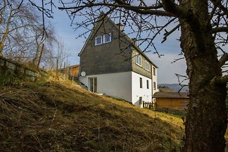 Domek letniskowy House Willingen