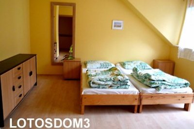 Lotosdom