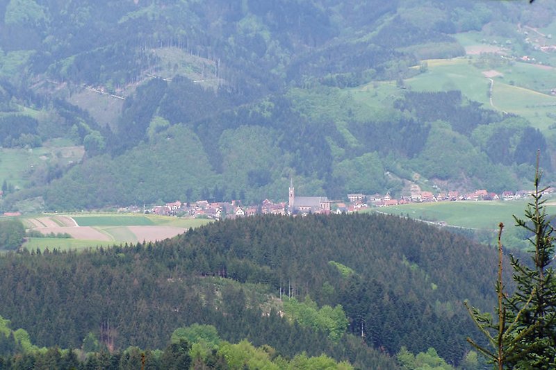 Oberharmersbach Blick vom Brandenkopf