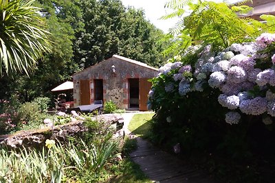 GITE LA PETITE FOLIE, avec piscine,