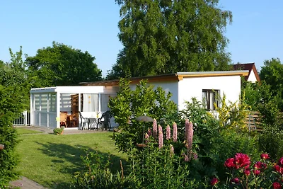 Domek letniskowy RÜGEN Ferienhaus Breege, ruhig