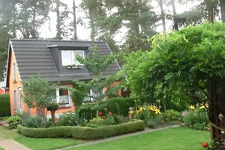 Meisennest