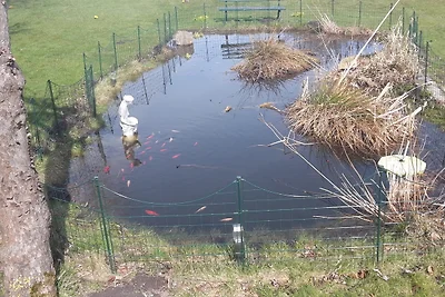 Ferienhaus 'Inselpanorama'