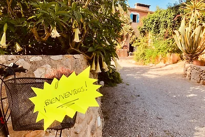 può cavea