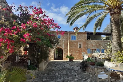 può cavea