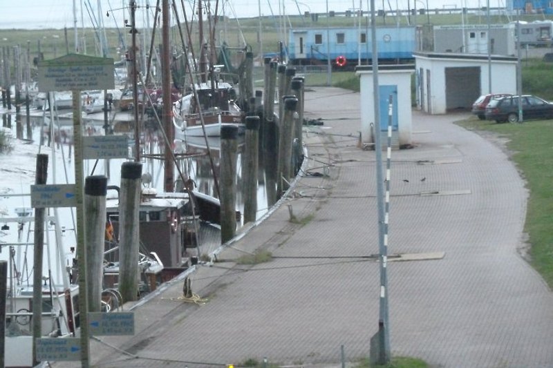 Hafen Spieka