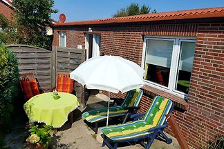 Vacanza idilliaca con il cane?