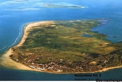 Opashus  Fewo. Strandflieder