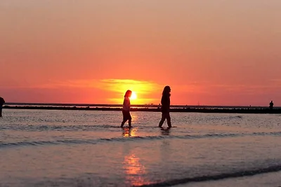 Opashus  Fewo. Strandflieder