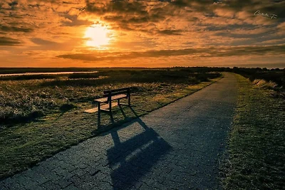 Opashuov stan. morska lavanda