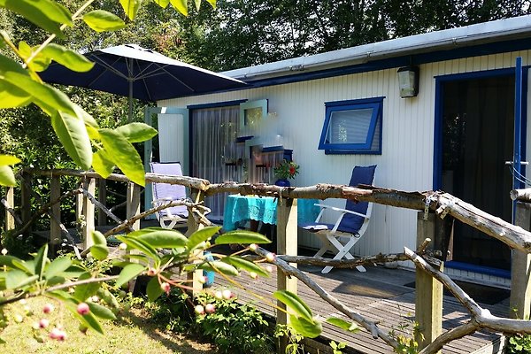 Ferienhaus Egmond aan Zee