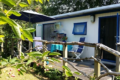 Cottage 't Valkennest