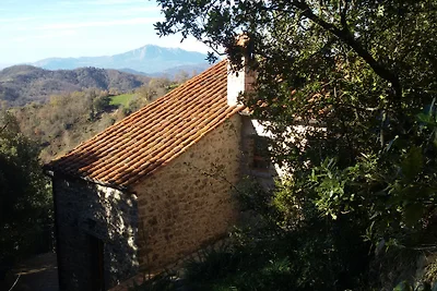 Scuola Vecchia