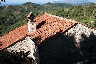 Borgo Le Caselle