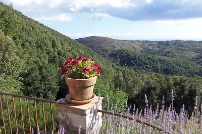 Borgo Le Caselle