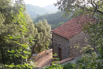 Borgo Le Caselle