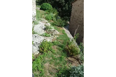 Scuola Vecchia