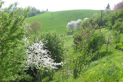 Landhaus Cascina Purin