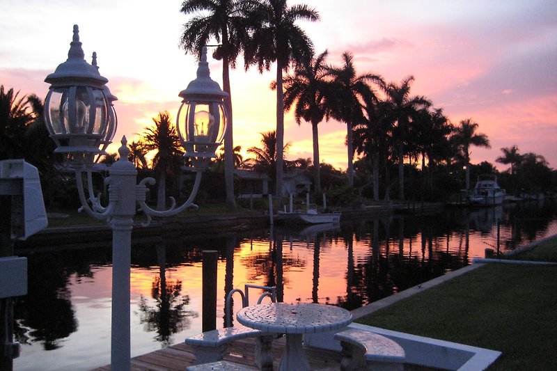 Tropische Abendstimmung am See mit Palmen und Stadtlichtern.
