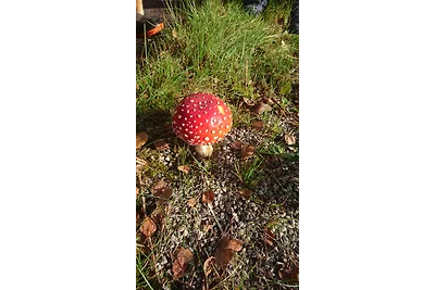 Zweedse droomvilla Lyckebo
