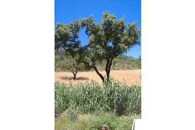 Casa Vera - Natur Pur im Alentejo