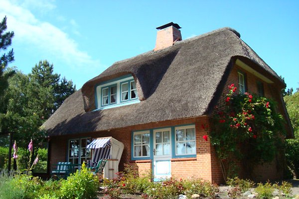 Reetdachhaus Sandkamp in St. PeterOrding Herr C. Dilcher Dr