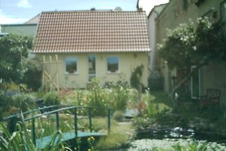 Ferienhaus in Bad Doberan