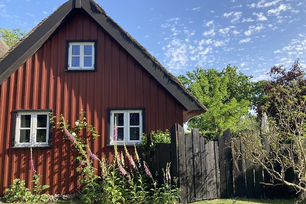 Ferienhaus Born