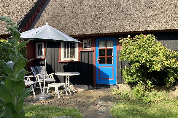 Ferienhaus Born
