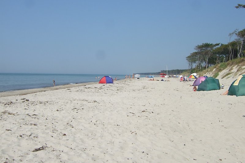 Ostsee, Sommer, Sonne, Strand