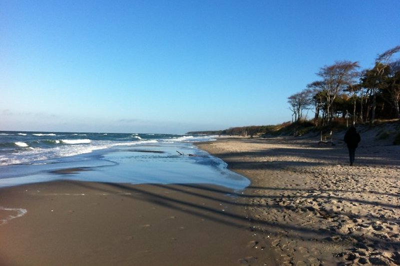 Am weiten Ostsee Strand lässt sich bei einem Spaziergang auch einmal ein Stück Bernstein finden.