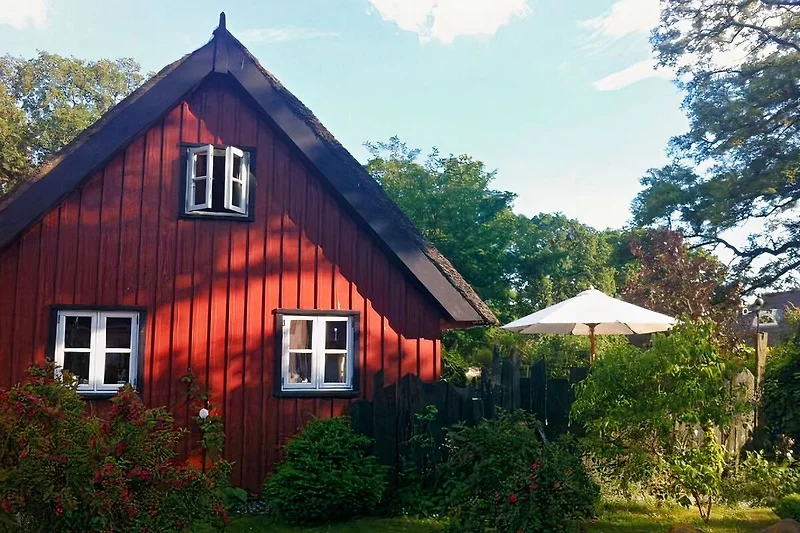 Stimmungsvoll unterm Reetdach im kleinen Katen.